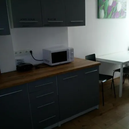 Tulip - Pokój Nr 8 Ze Wspólną łazienką I Kuchnią