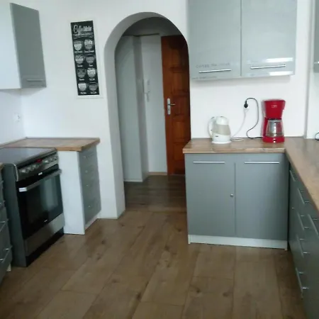 Tulip - Pokój Nr 8 Ze Wspólną łazienką I Kuchnią Apartament